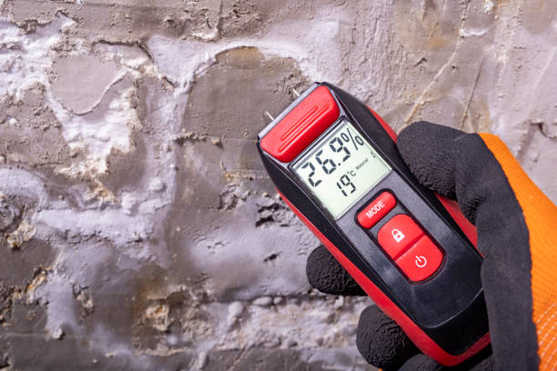 Harper Woods, MI Mold Removal Company