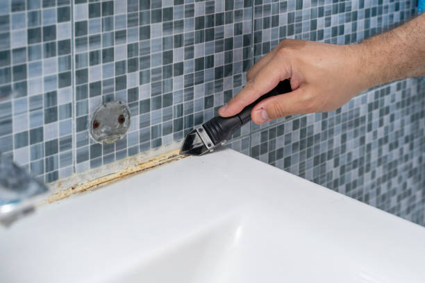 Best Mold Remediation  in Harper Woods, MI